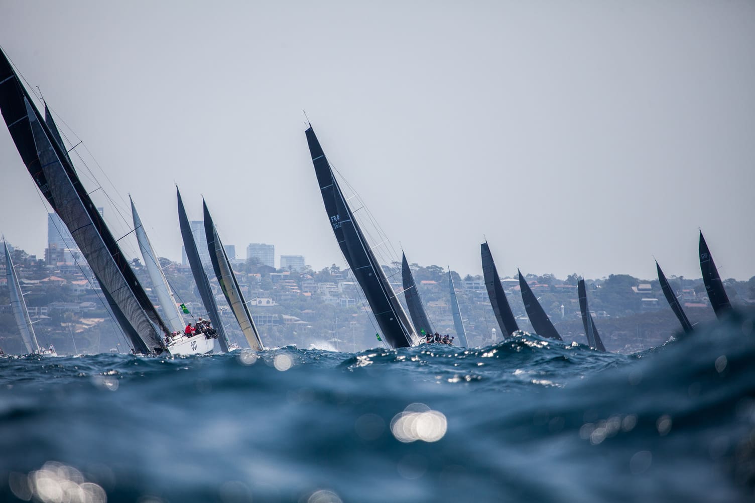 2022 Noakes Sydney Gold Coast Yacht Race Doyle Sails