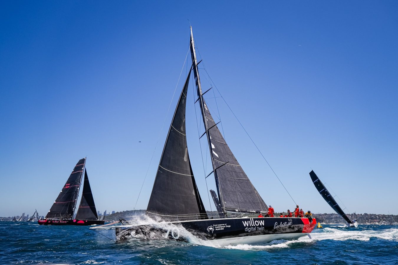 sailing sydney hobart